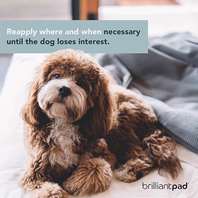 No No! Chew Deterrent Spray | Bitter Anti Chewing Pet Training Aid, Safe for Dog & Puppy, Protect Furniture | Stop Biting, Licking & Scratching | Repellent for Indoors & Outdoors Use | 4oz