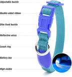 Visinite Light Up Dog Collars for Small Dogs,LED Dog Collar Light Rechargeable,Fully Adjustable Lighted Dog Collar,Glow in The Dark Dog Collars with Dog Lights for Night Walking,Blue