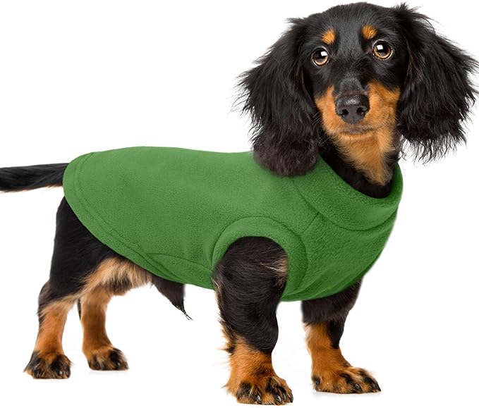 PUMYPOREITY Fleece Sphynx Cat Clothes, Warm Thick Cat Sweater, Soft Winter Coat for Hairless Cats, Cold Weather Pet Sweater for Dogs and Cats, Green, 2XL