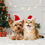 Nydotd 8 Pieces Dog Santa Hat PET Christmas Hat Small Santa Cat Hats Soft Plush Christmas Costumes Supplies for Tiny Dog Cat Puppy Kitten Crafts