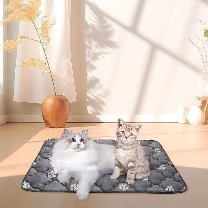 BINGPET 2 Pcs Self Warming Cat Bed for Indoor/Outdoor Cats,Warm Thermal Self Heating Cat Mat Dog Crate Pad with Anti-Slip Bottom Washable,Cozy Cat Dog Pet Heating Pad Blanket for Kitten Puppy 28"×45"
