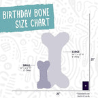 HuggleHounds Plush Dog Toy - Fuzzy Birthday Dog Toy, Plush Soft Fleece, Interactive Durable Stuffed, for Small and Large Breeds with Squeaker - Birthday Bone