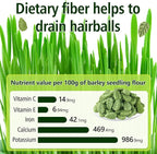 100g/3.52oz Cat Grass Treats, Cat Grass Teething Stick for Hairball Remove and Teeth Cleaning, Edible Cats-Grass Stick Snack
