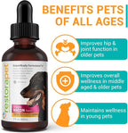 RestoraPet 4-Pack Dog & Cat Bacon Liquid Multivitamin | Dog Arthritis Pain Relief | Hip & Joint Vitamins for Dogs - Anti Inflammatory Supplement for Dogs & Cats | Organic & Non-GMO, Vet Approved