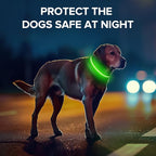 Light Up Dog Collar, Adjustable USB Rechargeable Glow in Dark Dog Collar ，Waterproof Dog Collars for Medium Dogs (Green, Medium)