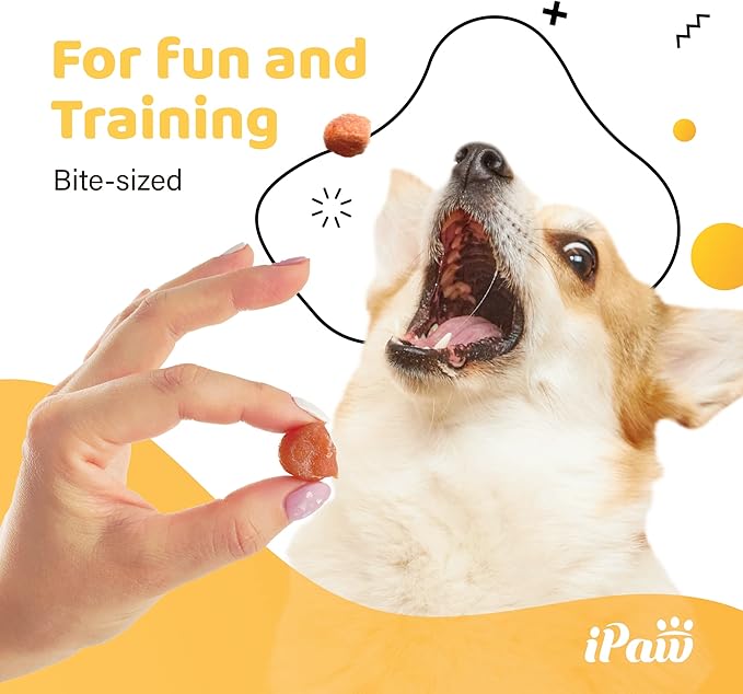 iPaw Chicken Tots Dog Treats for Puppy Training, All Natural Human Grade Dog Treat, Hypoallergenic, Easy to Digest (Chicken Tots), 3 Packs