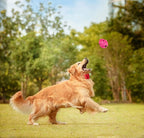 AUSCAT Dog Treat Dispensing Toys, Dispensing Puzzle Dog Toy for Aggressive Chewers, Rubber Dog Treat Dispenser, Interactive Stimulation Dog Food Toys, Pitaya Shape