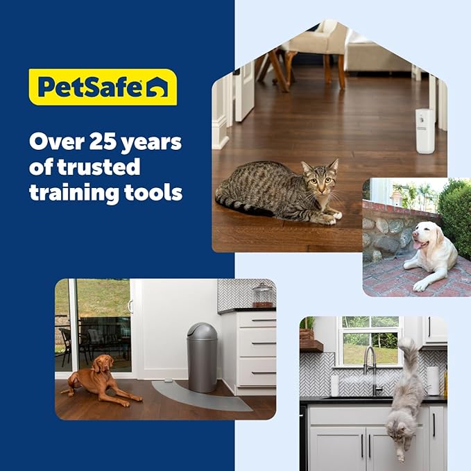 PetSafe ScatMat Indoor Training Mat