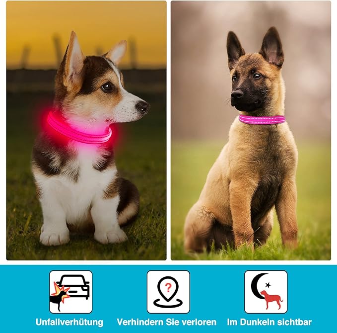 LED Dog Collar - Light Up, Adjustable, Rechargeable, Waterproof - Night Walking, Glow in Dark - Small, Pink