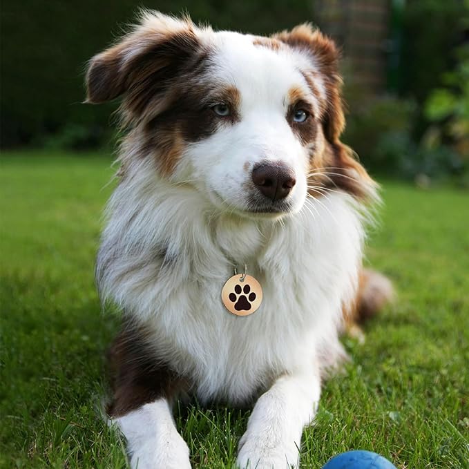 MYLUCKYTAG Stainless Steel QR Code Dog Tags - Scan for Instant Pet Location Alerts