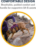 Ruffwear, Web Master, Multi-Use Support Dog Harness, Hiking and Trail Running, Service and Working, Everyday Wear, Red Sumac, Medium
