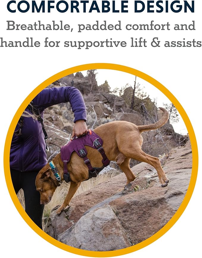 Ruffwear, Web Master, Multi-Use Support Dog Harness, Hiking and Trail Running, Service and Working, Everyday Wear, Red Sumac, Medium