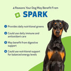 Pet Wellbeing Spark Daily Nutritional Greens Superfood for Dogs & Cats - Probiotics, Prebiotics, Digestive Enzymes, Amino Acids, Antioxidants, Vitamin D, Spirulina - Vet-Formulated 3.53 oz (100 g)