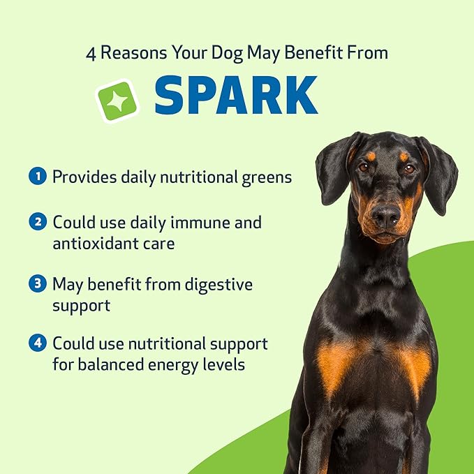 Pet Wellbeing Spark Daily Nutritional Greens Superfood for Dogs & Cats - Probiotics, Prebiotics, Digestive Enzymes, Amino Acids, Antioxidants, Vitamin D, Spirulina - Vet-Formulated 3.53 oz (100 g)