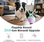 Interactive Dog Toys [2025 Upgrade] – Smart Dog Ball, Automatic Motion-Activated Rolling, Random Path, Squeaky Sounds, USB-C Rechargeable LED Light, Indoor/Outdoor Use