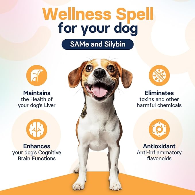 Liver Health Supplement for Medium Dogs - Milk Thistle for Dogs Liver Support with S-Adenosylmethionine (Same) & Silybin - 30 Tablets