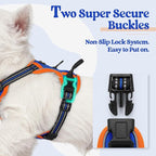 rabbitgoo Dog Harness No Pull with 2 Leash Clips, Adjustable Soft Padded, Reflective Oxford No Choke Pet Vest with Easy Control Handle for Puppy, Blue & Orange, XS