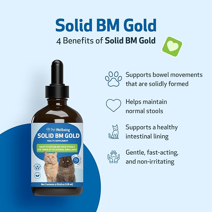 Pet Wellbeing Solid BM Gold for Cats - Supports Healthy Digestive Function, Solid Stools, Normal Bowel Movements, Bayberry - Veterinarian-Formulated Herbal Supplement 4 oz (118 ml)