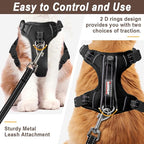 Cat Harness and Leash Set for Walking Escape Proof for Small Large cat Kitten Harness with ID tag Pocket (Black,XS)