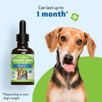 Pet Wellbeing - Healthy Gums for Dogs - Natural Supplement for Healthy Gums, Teeth and Breath Against Dog Gingivitis - 2oz (59ml).
