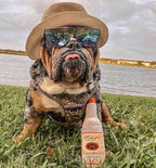 Nestpark Toto's Plush Squeaky Crinkle Dog Toy - Funny Dog Gifts for Medium, Small and Large Dogs - Cute Stuffed Toys for Dog Birthdays