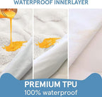 Round Dog Bed for Small Dogs & Cats -Washable Dount Cute Cat Bed for Indoor Cats, Orthopedic Sherpa Fleece Soft Cozy Calming Pet Bed with Removable Zipper Cover (White, (23x23x8inches))