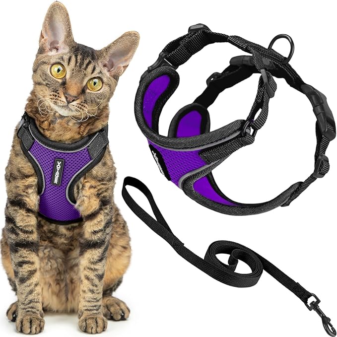Voyager Escape-Proof Step-in Lock Cat Harness & 5ft Neoprene-Handle Leash Set All-Weather Mesh with Reflective Stitching for Small to Large Cats by Best Pet Supplies, Black Trim-Purple (327), XS