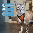 Voyager Escape-Proof Step-in Lock Cat Harness & 5ft Neoprene-Handle Leash Set All-Weather Mesh with Reflective Stitching for Small to Large Cats by Best Pet Supplies, Orange/Black Trim, XXXS