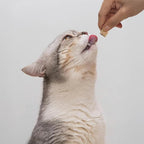 Open Farm, Kitty Cubes, Freeze Dried Raw Cat Treats, Grain-Free, High-Protein Cat Treat with Probiotics, Omega Fatty Acids & Superfoods, Surf & Turf Recipe, 1.5oz Bag