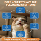 L-lysine Supplement for Cats, Immune Support for Cats, Support for Feline Respiratory, Sneezing, Runny Nose, Eye Function, Helps Strengthen Natural Defenses, Chicken Flavor, 120 ml/4 Fl Oz