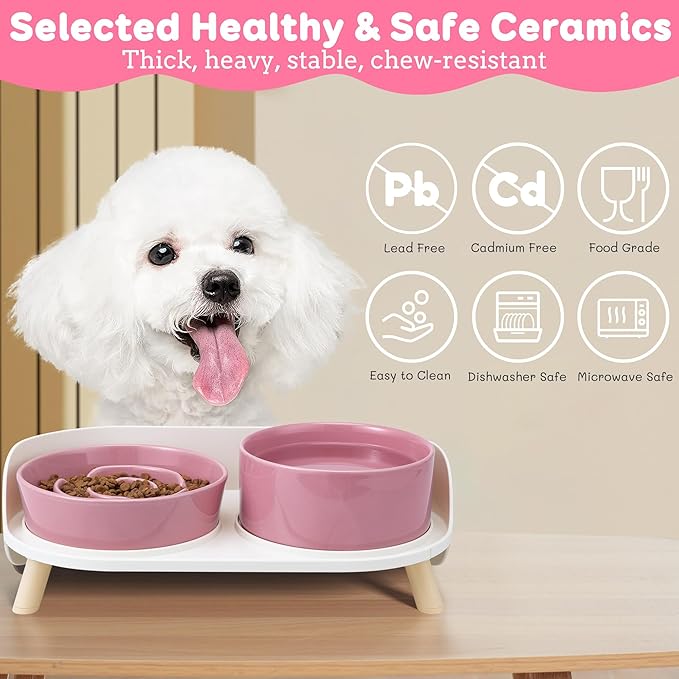 Elevated Slow Feeder Dog Bowls - Ceramic Food and Water Bowl Set with Stand - Raised Pet Dishes for Small and Medium Sized Dogs