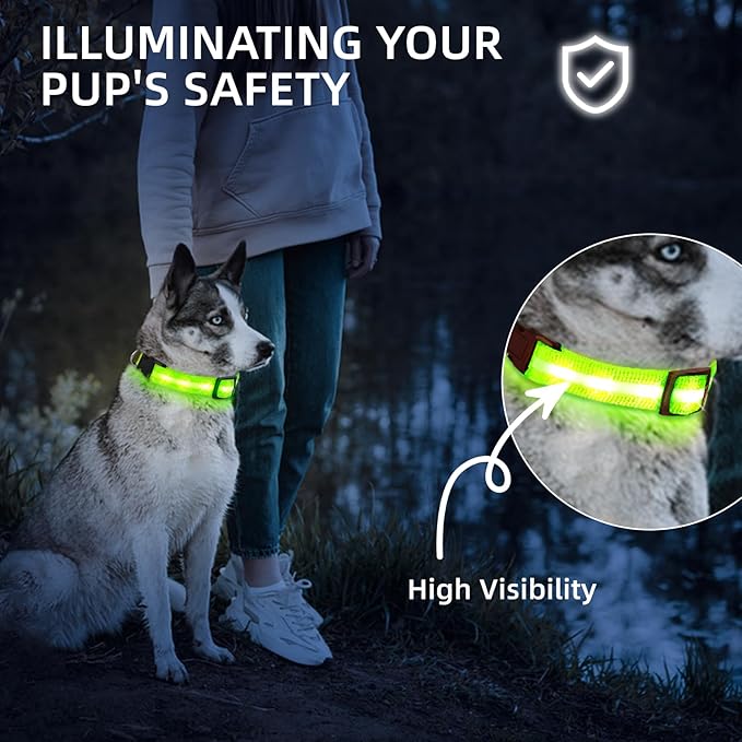 Super Bright LED Dog Collar - Fully Waterproof & Adjustable Glow Collar - USB-C Rechargeable for Night Walking, Safety - Flashing Lighted Collar for Dogs(Green,L)