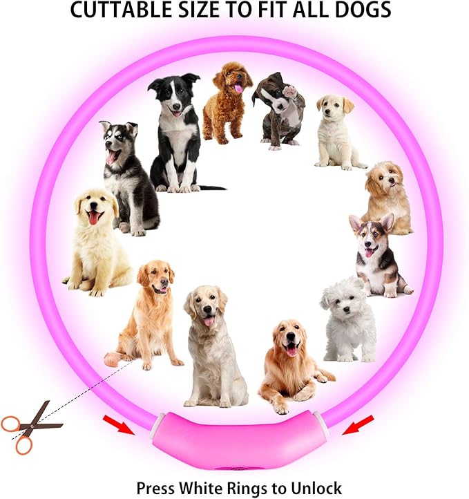 2-Pack LED Dog Collar, Light Up Dog Collars,Rechargeable Dog Lights for Night Walking，Universal, Reusable Safety Necklace for Small Medium Large Dogs RED&Pink