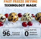 PAWUP Freeze Dried Cat & Dog Treats, Natural Quail Egg Yolk, Rich in Antioxidants Cranberry Added, High-Protein Pet Snacks for Coat & Urinary Health, 3.5 oz