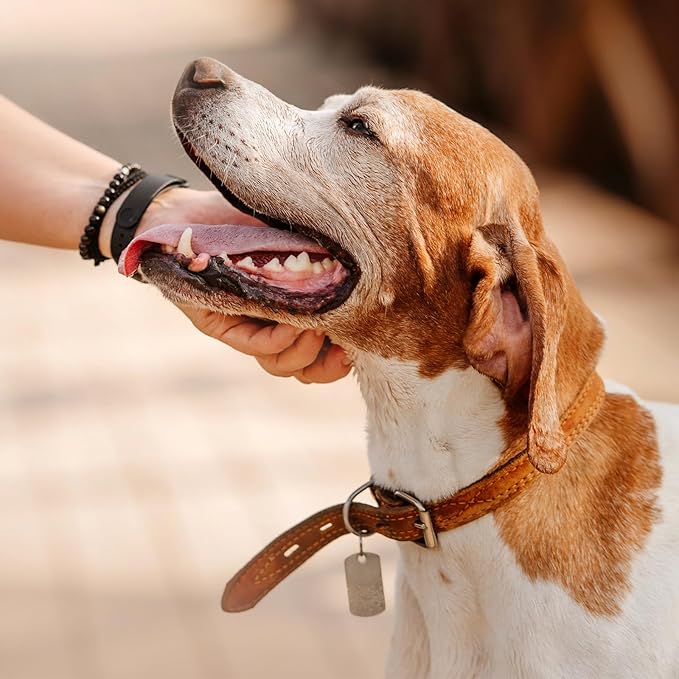 MECCANIXITY Blank Dog Tags Rectangle Blank Aluminum Blank Keychains Laser Engraving Blanks ID Name Tag Metal Personalized Pet Tags for DIY Crafts Blue, 300 Pack