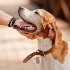 MECCANIXITY Blank Dog Tags Rectangle Blank Aluminum Blank Keychains Laser Engraving Blanks ID Name Tag Metal Personalized Pet Tags for DIY Crafts Rose Red, 300 Pack