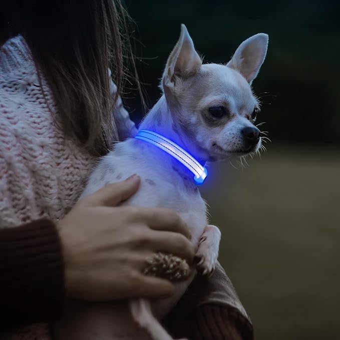 Visinite Light Up Dog Collars for Small Dogs,LED Dog Collar Light Rechargeable,Fully Adjustable Lighted Dog Collar,Glow in The Dark Dog Collars with Dog Lights for Night Walking,Blue