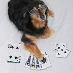 15PCS Funny Poker Dog Toys- Plush Interactive Toys with Crinkle Paper for Small, Medium Puppies- Fun Novelty Play- Cool Stuffed Gifts for Dog Birthday(Black)