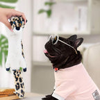 SHARLOVY Dog Squeaky Toy No Stuffing 6 Pack, Dog Toys Crinkle for Small Puppy, Durable Chew Plush Cute Animals Natural for Teething Pet