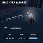 Super Bright LED Dog Collar - Fully Waterproof & Adjustable Glow Collar - USB-C Rechargeable for Night Walking, Safety - Flashing Lighted Collar for Dogs(Blue,Medium)