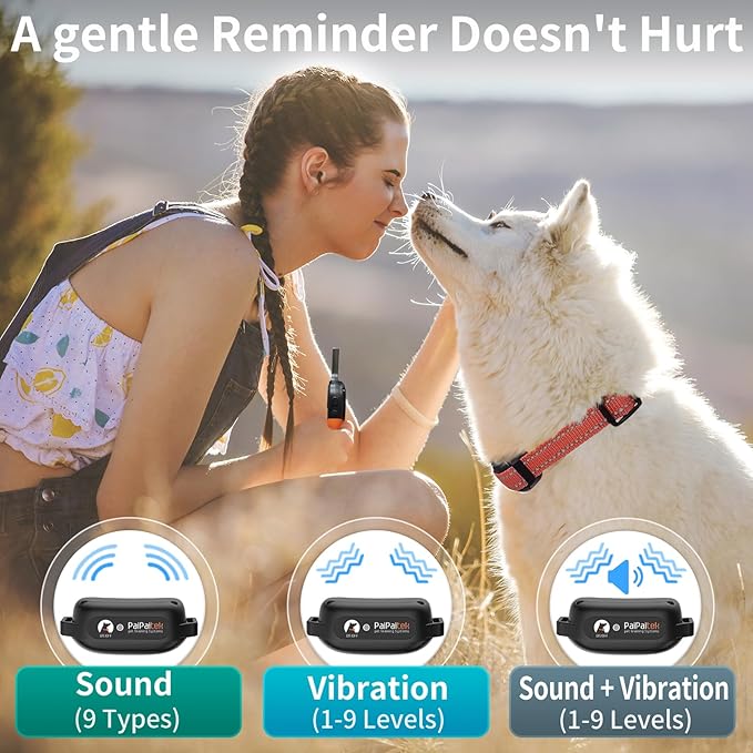PaiPaitek Dog Vibration Collar with Controller No Shock, 3300ft Waterproof Training Dog Collar Beep and Vibrate Only, Security Lock & Rechargeable Vibrating Collar for Dogs 5-120 lbs - No Prongs