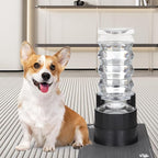 RIZZARI Large Water Dispenser for Dogs: 8L Gravity Black Automatic Stainless Steel Waterer - 100% BPA Free - Raised Pet Feeder for Pet Dogs Indoor/Outdoor