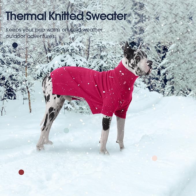 IECOii Dachshund Sweater,Turtleneck Dog Sweater for Small Medium Dogs Girl Boy,Stretchy & Breathable,Warm Knitted Pullover Coat,High Neck Knitwear for Cold Weather Indoor & Outdoor Wear (Rose red,M)