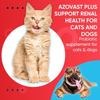 Azovast Plus Kidney Health Supplement for Dogs & Cats, 240ct - NO Refrigeration Required - Help Support Kidney Function & Manage Renal Toxins - Renal Care Supplement Capsule(U.S.A) (240 Caps)