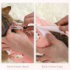 ANWA Cat Recovery Suit, Breathable Cat Onesie After Surgery, Kitten Surgery Recovery Suit, Female Abdominal Wounds