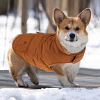 Queenmore Warm Puffer Dog Coat, Quilting Winter Jacket Ultra Thick Plush Lining with Storage Pockets (Brown, Small)