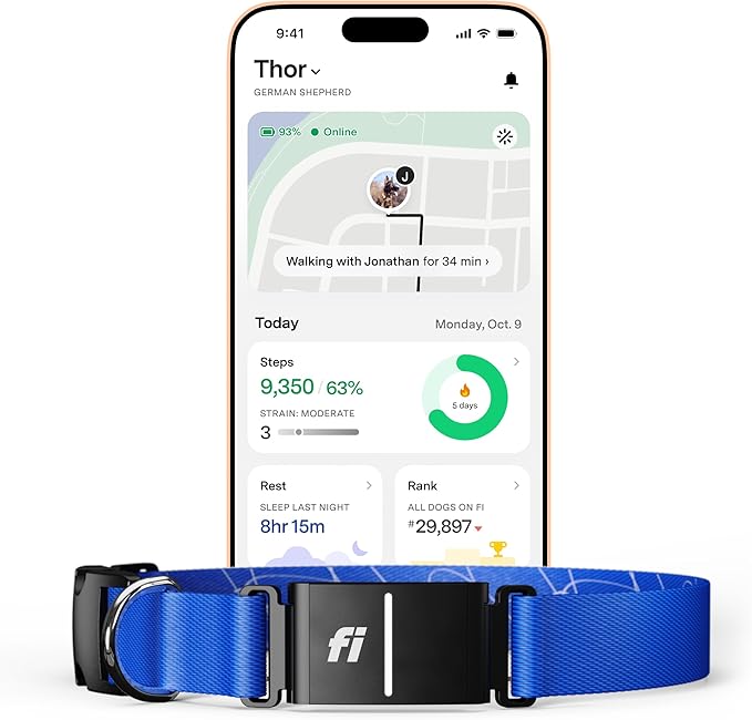 Fi Series 3+ Smart Dog Collar - GPS Dog Tracker and Activity & Fitness Monitor, Waterproof, LED Light, Escape Alerts, Nationwide Coverage [Free 6 Month Membership] (Blue, Medium)