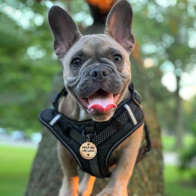 MYLUCKYTAG Stainless Steel QR Code Dog Tags - Scan QR for Instant Pet Location Alerts