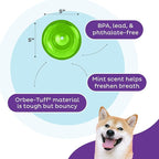 Outward Hound Large Snoop Interactive Treat Dispensing Dog Toy, Puzzle Ball Slow Feeder for Medium to Large Dogs, Mint-Scented for Mental Stimulation & Boredom Relief, BPA-Free, 5-Inch, Green