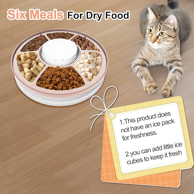 Automatic Cat Feeder, 6 Meal Timed Pet Dispenser Easily Programmable &Easy to Clean, Auto Feeder for Cats/Small Dogs (Pink)
